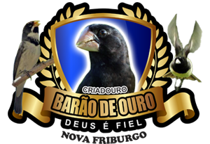 Criadouro Barão de Ouro Coleiro Bicudo Nova Friburgo/RJ
